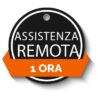 1 ora di Assistenza Remota Online